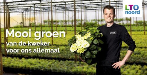Spandoek - Bomen en vaste planten